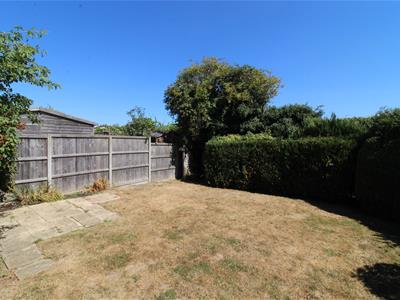 Picture 15